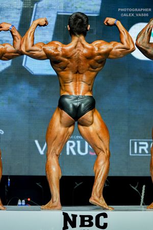 CLASSIC PHYSIQUE +178